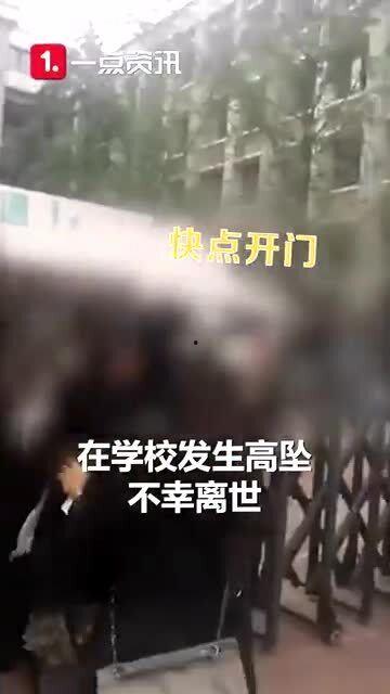 坠楼老师爆料视频大全最新,揭开教育乱象背后的真相